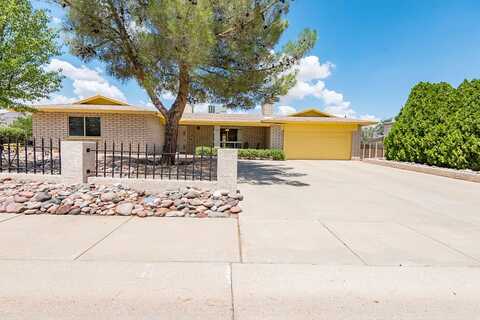 Palo Verde, KINGMAN, AZ 86409