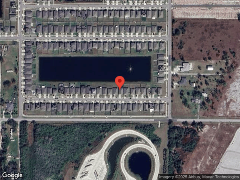 Golden Shiner, RUSKIN, FL 33570