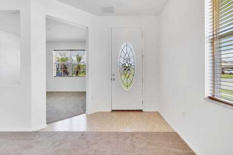 Harlequin, SAINT CLOUD, FL 34772