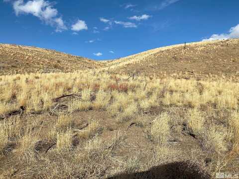 Tbd Pine Nut Mountains, Gardnerville, NV 89410