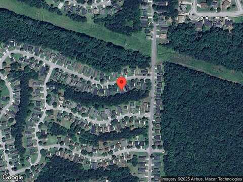 Mahonia, LITHONIA, GA 30038