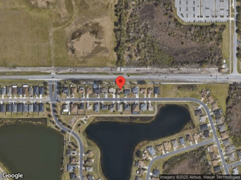 Sandhill Crane, LAKELAND, FL 33811