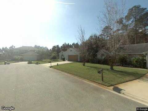 Viburnum, JACKSONVILLE, FL 32246