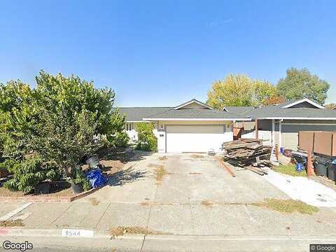 Larch, COTATI, CA 94931