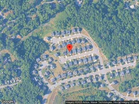 Warbler, STAFFORD, VA 22554