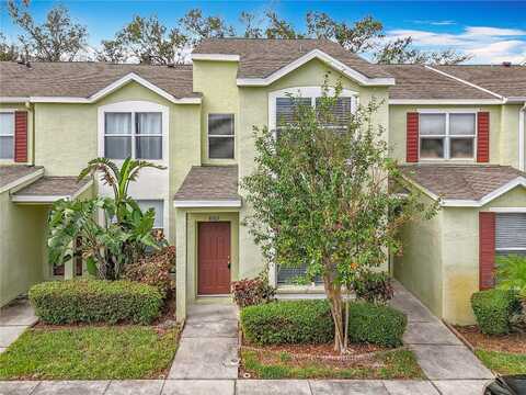 Osprey Lake, RIVERVIEW, FL 33578