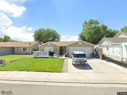 Purple Ash, CLIFTON, CO 81520