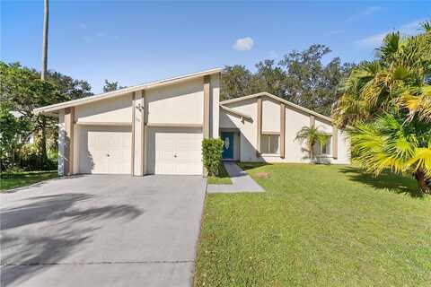Chip, KISSIMMEE, FL 34759