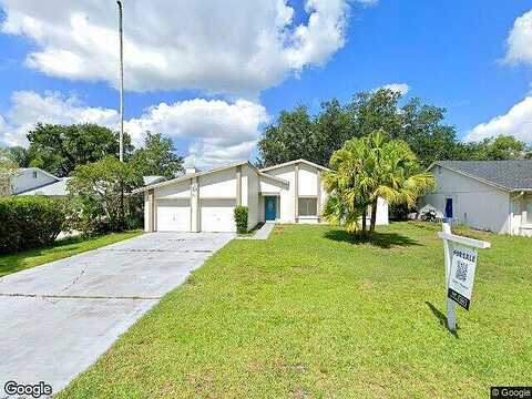 Chip, KISSIMMEE, FL 34759