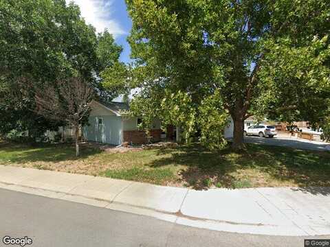 Pine Cone, GRAND JUNCTION, CO 81504