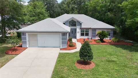 Blue Beech, HOMOSASSA, FL 34446