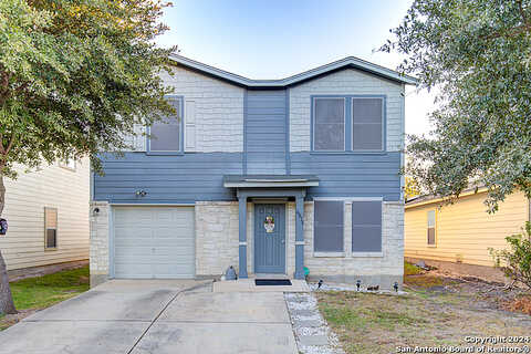 Plumbago, SAN ANTONIO, TX 78218