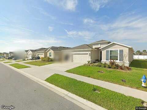 Autumn Amber, SPRING HILL, FL 34609