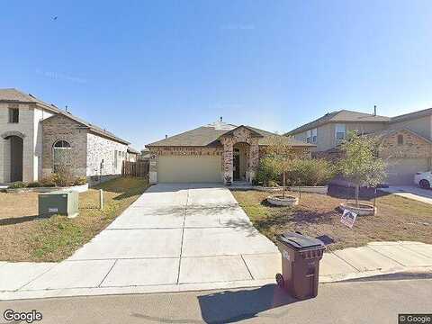 Bicknell Sedge, SAN ANTONIO, TX 78254