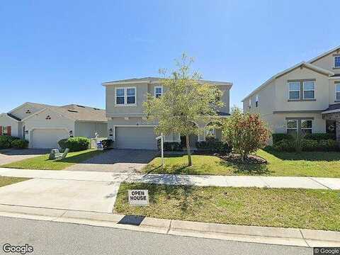 Carmillion, GROVELAND, FL 34736