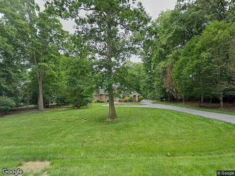 Whistling Swan, CHESTERFIELD, VA 23838