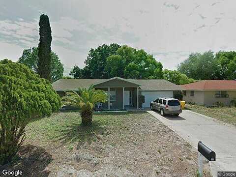 Scottie, PORT RICHEY, FL 34668