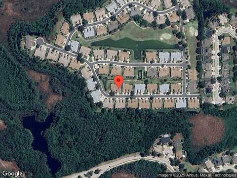 Cleopatra, LAND O LAKES, FL 34637