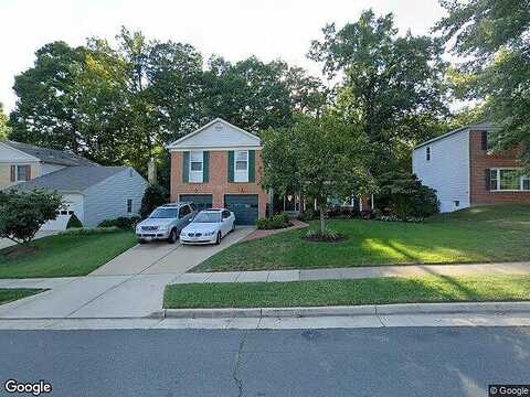 Maple Tree, SPRINGFIELD, VA 22152