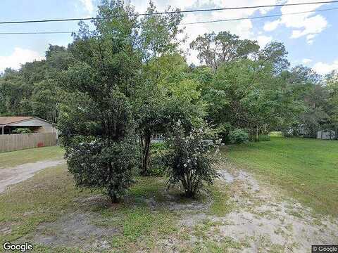 Pine, UMATILLA, FL 32784