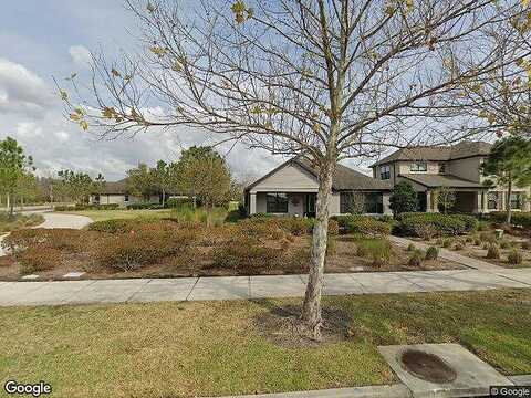 Long, ODESSA, FL 33556