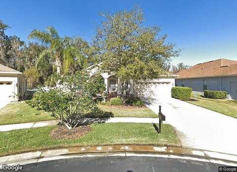 Palmetto Bend, WESLEY CHAPEL, FL 33544