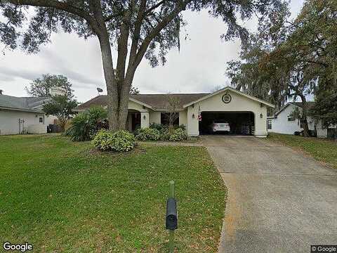 Bridle, PLANT CITY, FL 33566