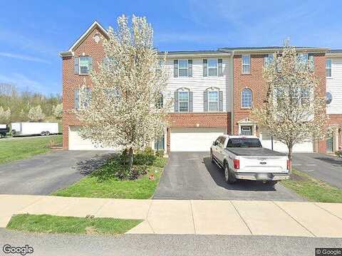 Black Bear, BRIDGEVILLE, PA 15017