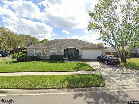 Smoketree, APOPKA, FL 32712