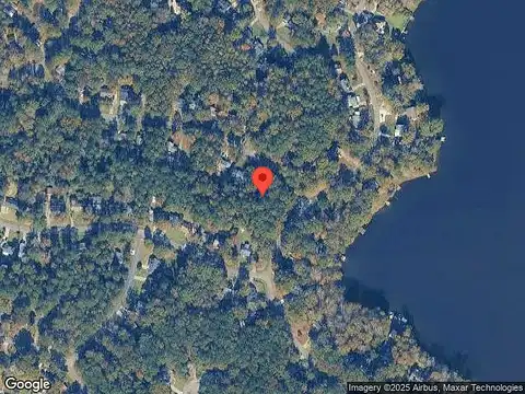 Bristle Cone, MACON, GA 31220