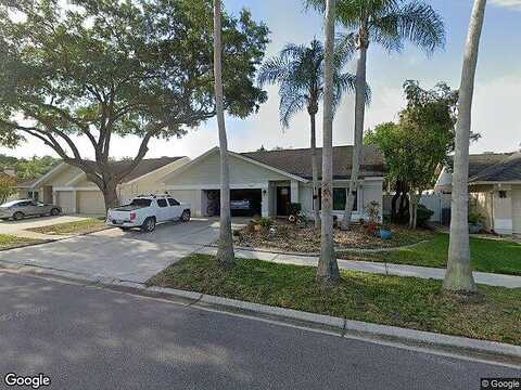 Steppingstone, TAMPA, FL 33635