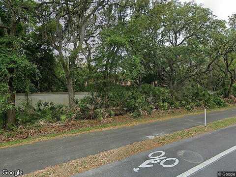 Willet, FERNANDINA BEACH, FL 32034