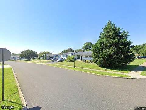 Black Pine, LEVITTOWN, PA 19054