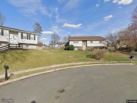 Loblolly, READING, PA 19607