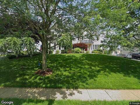 Honey Locust, AVONDALE, PA 19311