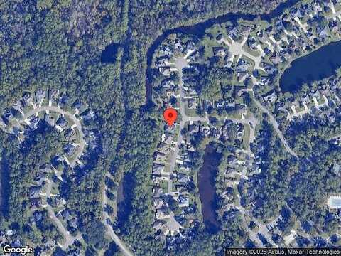 Marsh Rabbit, FLEMING ISLAND, FL 32003