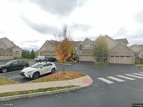 Tulip, MALVERN, PA 19355