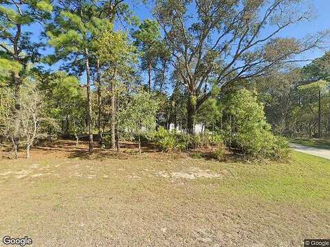 Stilt, BROOKSVILLE, FL 34614