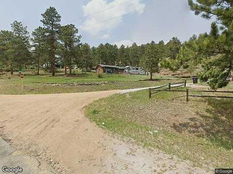 Spruce, BAILEY, CO 80421