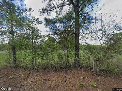 Highway 36, MILNER, GA 30257