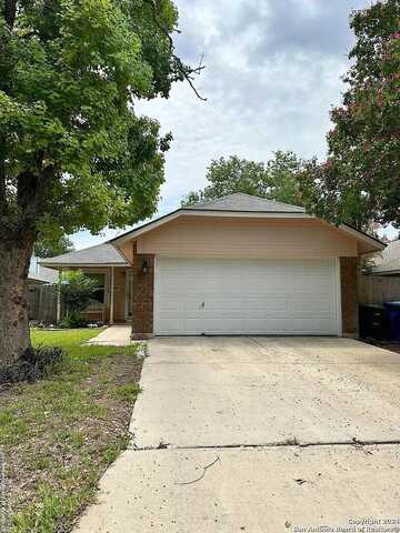 Stoney, SAN ANTONIO, TX 78247