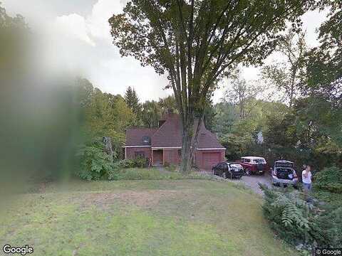 Chestnut, WAYNE, PA 19087
