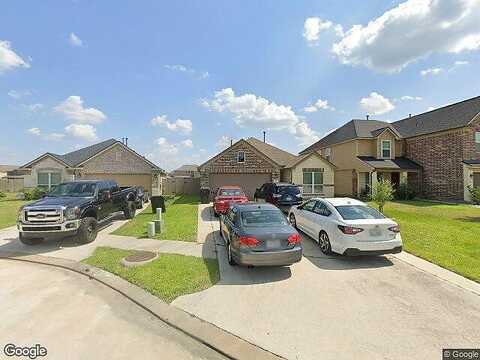 Chimney Swift, CONROE, TX 77385