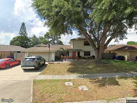 Croton, ROCKLEDGE, FL 32955