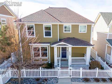 Fedora, COLORADO SPRINGS, CO 80923