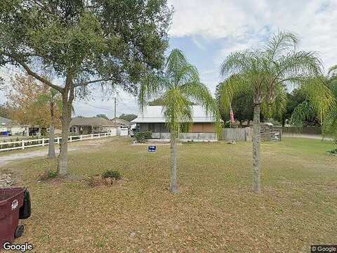 Grape, SAINT CLOUD, FL 34769