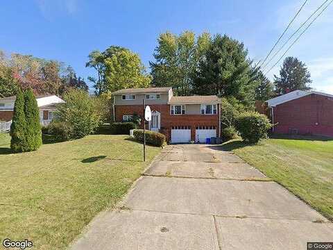 Dahlia, MONROEVILLE, PA 15146