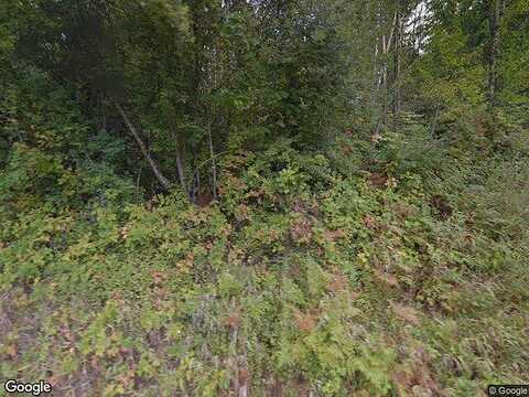 Marshall Hill, DEMING, WA 98244