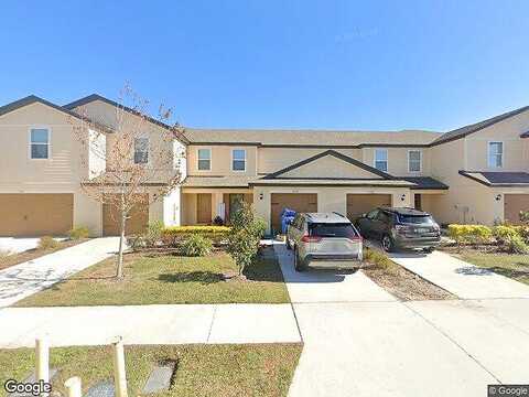 Companion, TAMPA, FL 33619