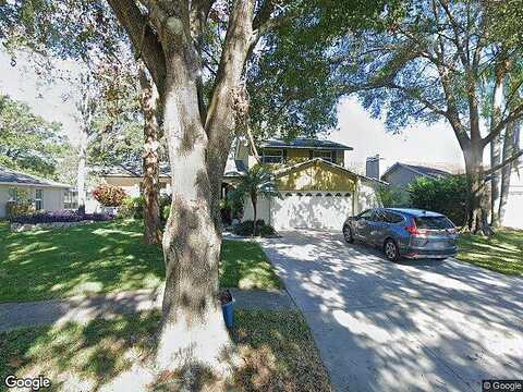 Landscape, TAMPA, FL 33624